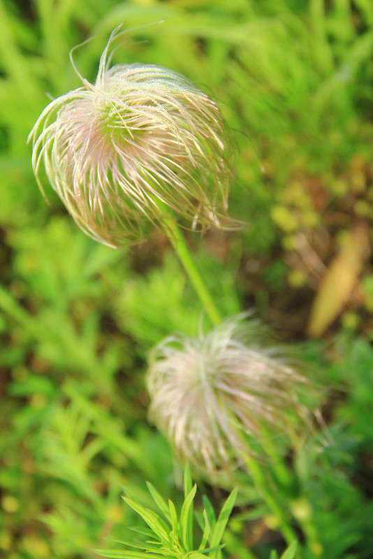 ... ����� ���� �������� �� PhotoGeek.ru #������ ��� ������� #����� ��������������