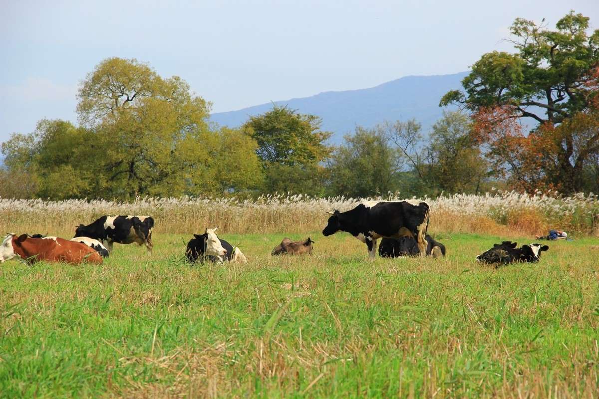 ... ����� ���� �������� �� PhotoGeek.ru #������ ��� ������� #���������