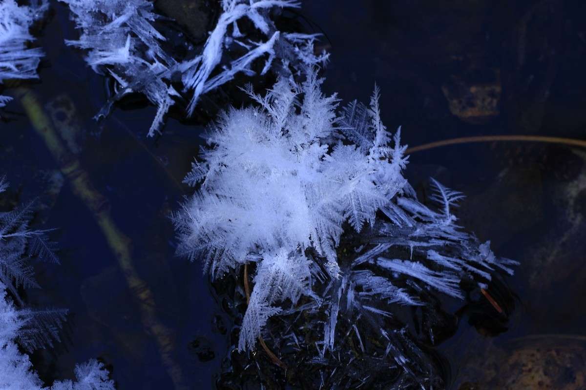 �����-�������� ����� ���� �������� �� PhotoGeek.ru #������ ��� ������� #���������