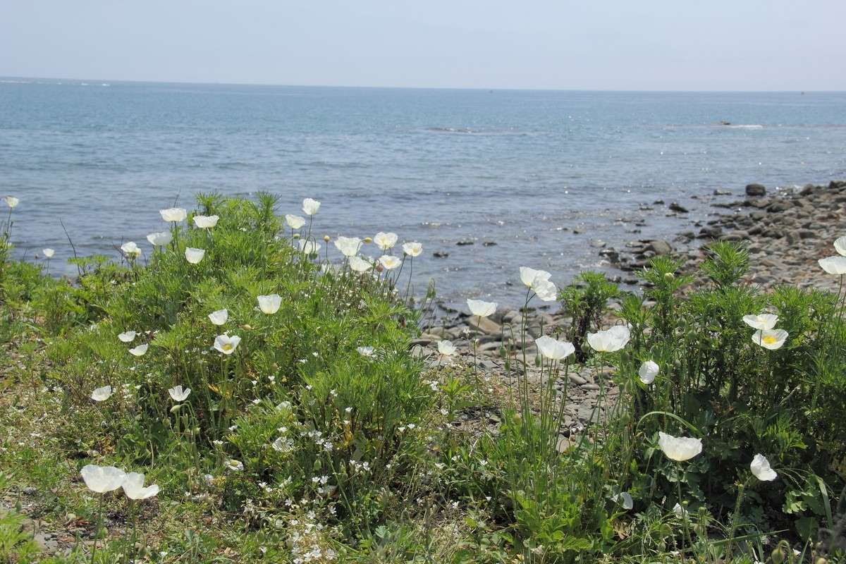 ����� ���� �� ������� ����� ���� �������� �� PhotoGeek.ru #������ ��� ������� #���������