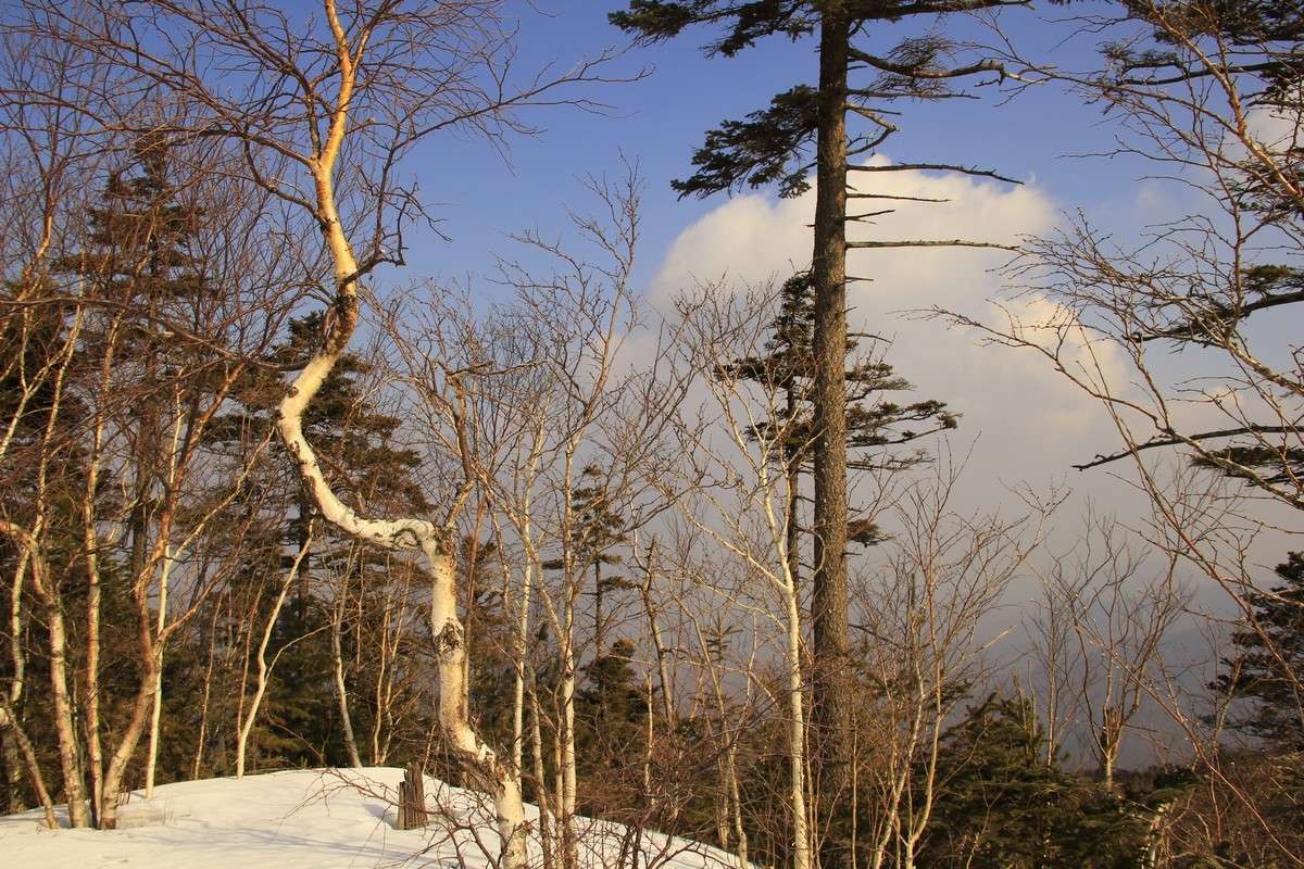 ... ����� ���� �������� �� PhotoGeek.ru #������ ��� ������� #���������