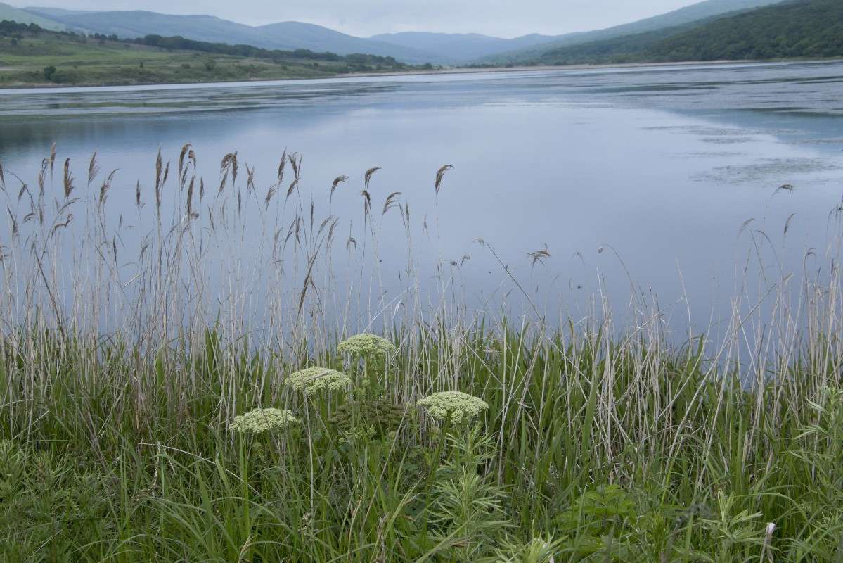 ... ����� ���� �������� �� PhotoGeek.ru #������ ��� ������� #���������