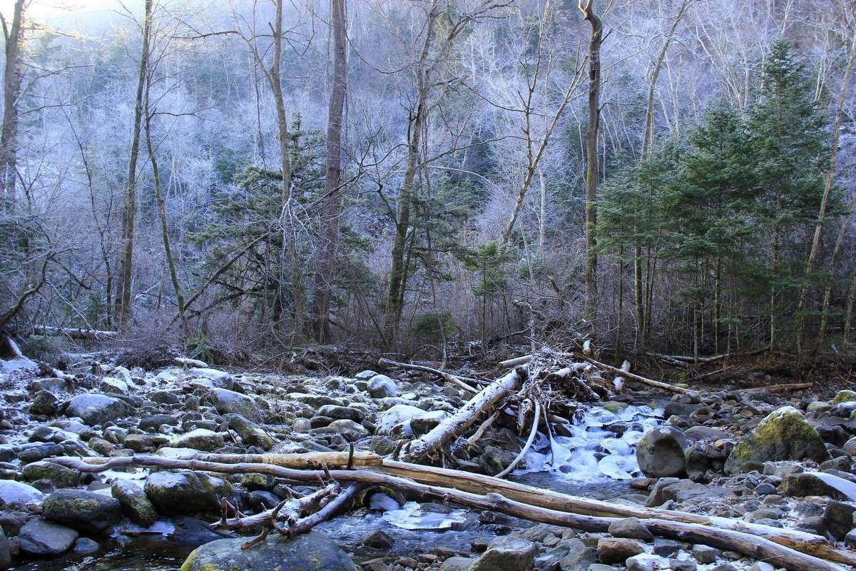 ����� � ���� ����� ���� �������� �� PhotoGeek.ru #������ ��� ������� #���������