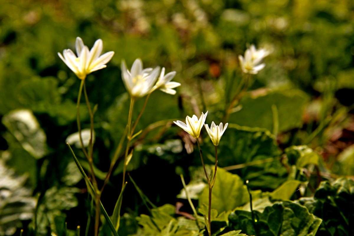 �������� ���������� ����� ���� �������� �� PhotoGeek.ru #������ ��� ������� #����� ��������������