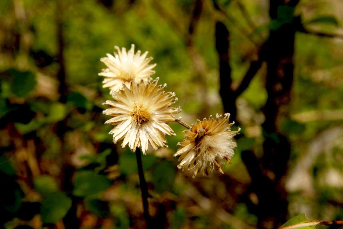 *** ����� ���� �������� �� PhotoGeek.ru #������ ��� ������� #����� ��������������