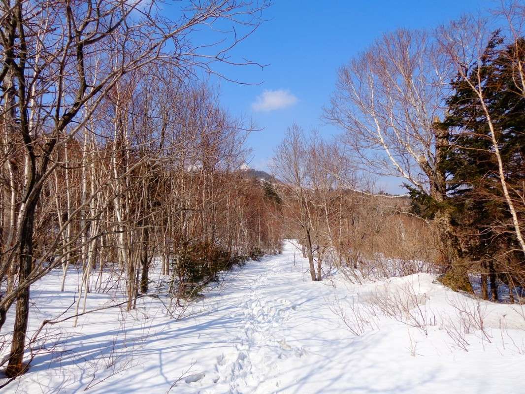 ���� ������ ���� ����� ���� �������� �� PhotoGeek.ru #������ ��� ������� #���������