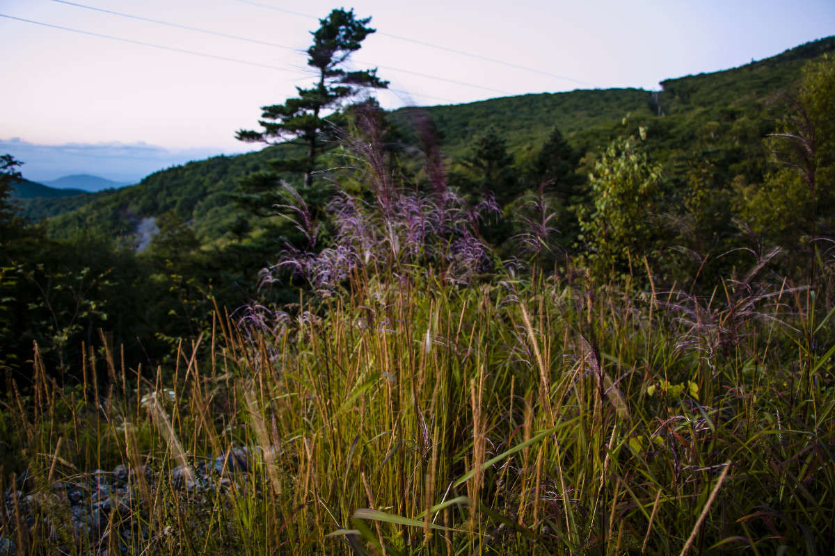 � �����. ����� ���� �������� �� PhotoGeek.ru #������ ��� ������� #���������