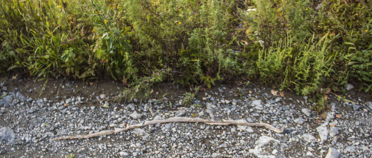 �������, ������ ������ ����� �����. ����� ���� �������� �� PhotoGeek.ru #������ ��� ������� #���������