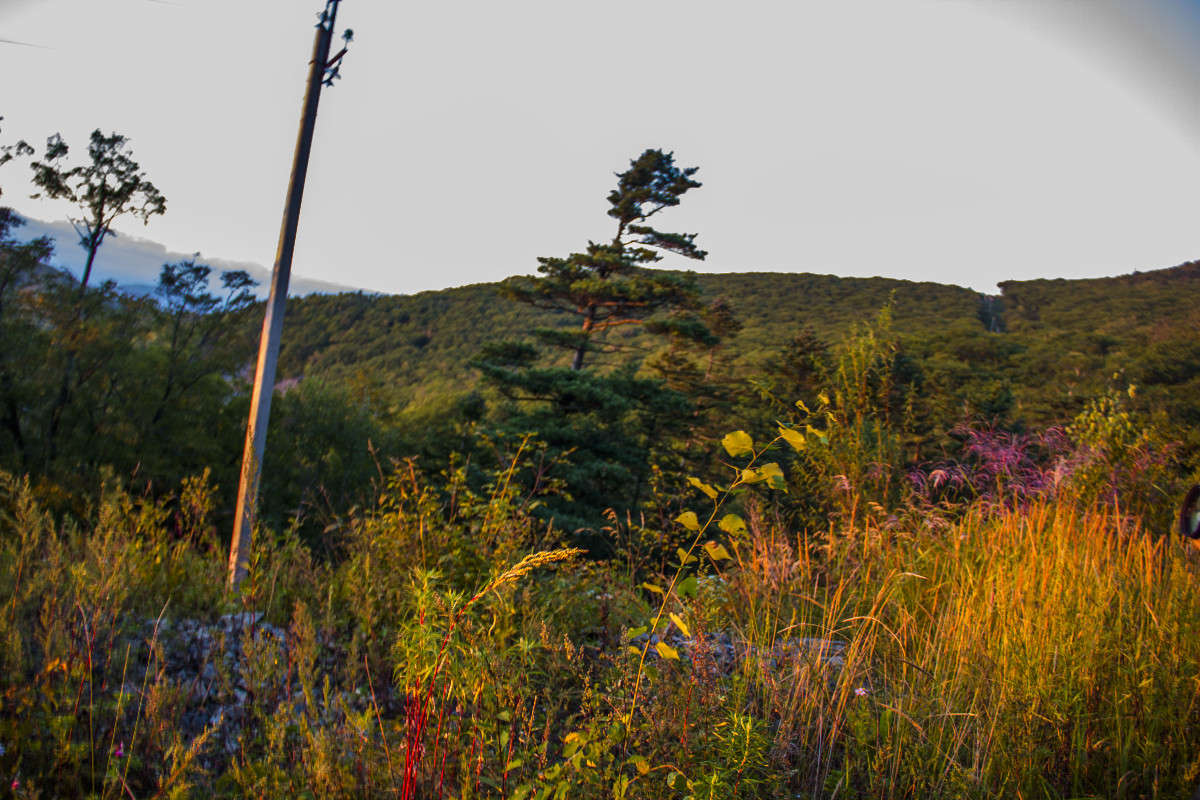 ����������� ����� ���� �������� �� PhotoGeek.ru #������ ��� ������� #���������