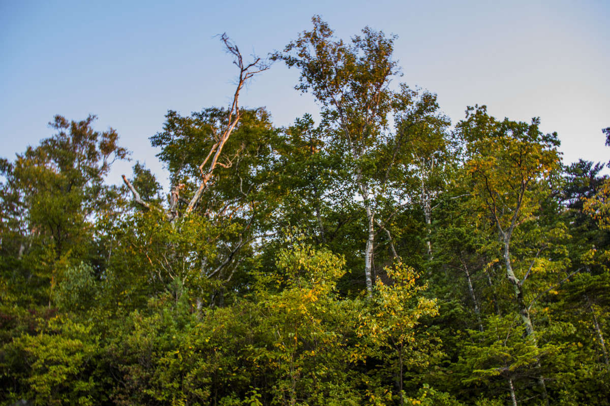 ������� ������� ����� ���� �������� �� PhotoGeek.ru #������ ��� ������� #���������