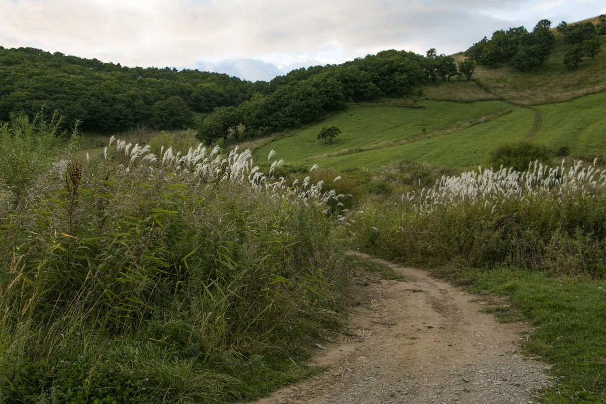 ... ����� ���� �������� �� PhotoGeek.ru #������ ��� ������� #���������