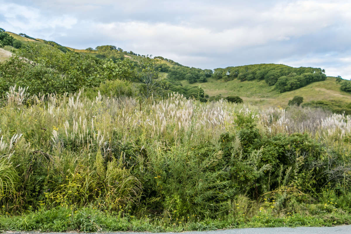 ... ����� ���� �������� �� PhotoGeek.ru #������ ��� ������� #���������