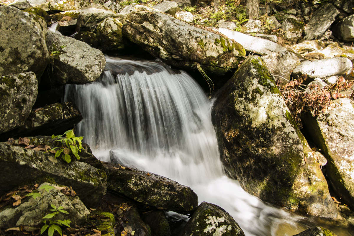 ����, ������� �� ��������� ��������. ����� ���� �������� �� PhotoGeek.ru #������ ��� ������� #���������