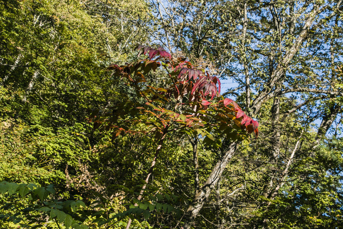 ������������. ����� ���� �������� �� PhotoGeek.ru #������ ��� ������� #���������