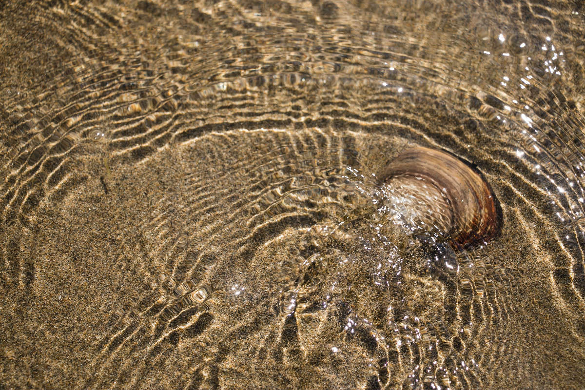 ����� �� ����... ����� ���� �������� �� PhotoGeek.ru #������ ��� ������� #���������