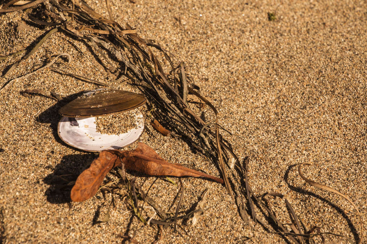 ����� ������. ����� ���� �������� �� PhotoGeek.ru #������ ��� ������� #���������