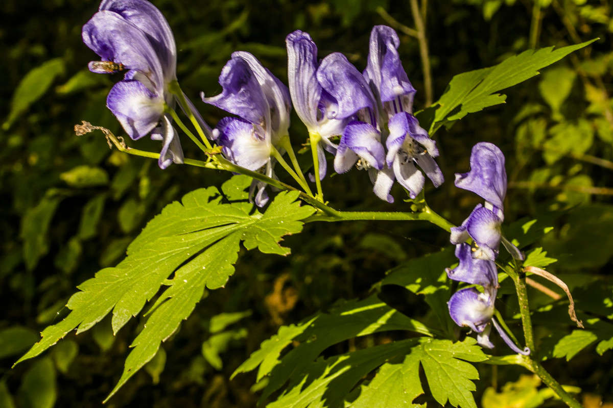 ������� ����� ����� ���� �������� �� PhotoGeek.ru #������ ��� ������� #����� ��������������