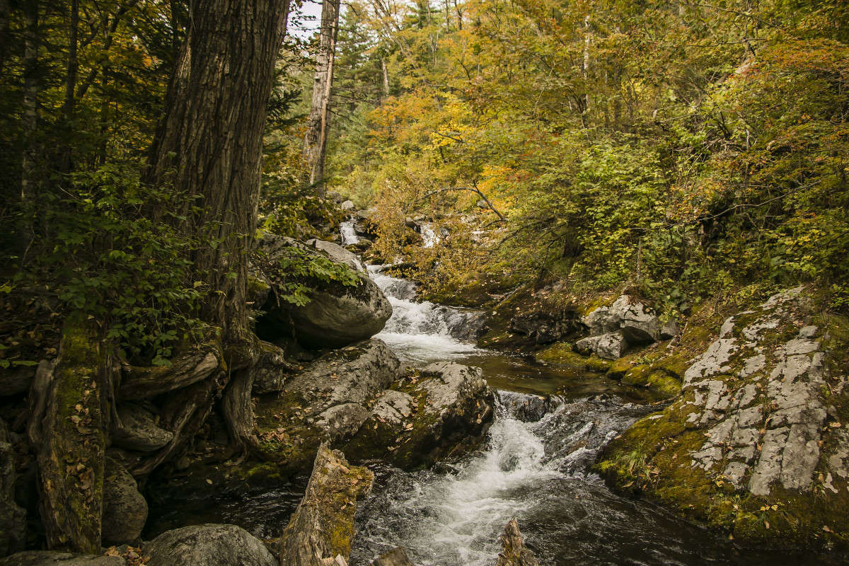 �� ������ �� �������. ����� ���� �������� �� PhotoGeek.ru #������ ��� ������� #���������