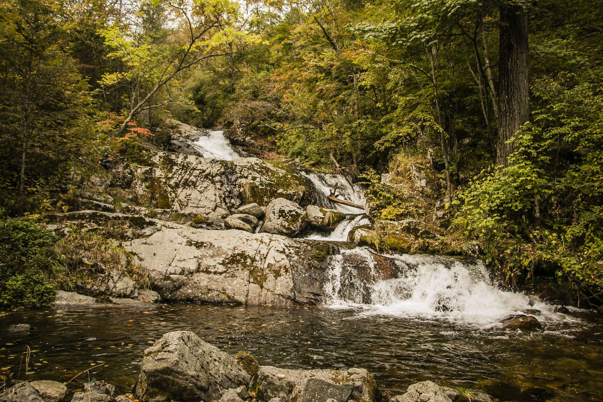 ������������� ��������. �������� ����� ���� �������� �� PhotoGeek.ru #������ ��� ������� #���������