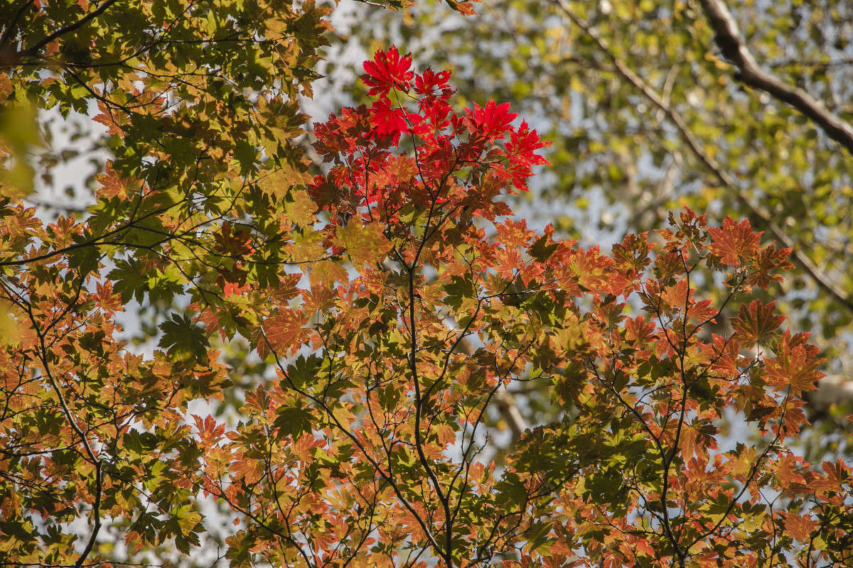 ������� ���� ����� ���� �������� �� PhotoGeek.ru #������ ��� ������� #���������