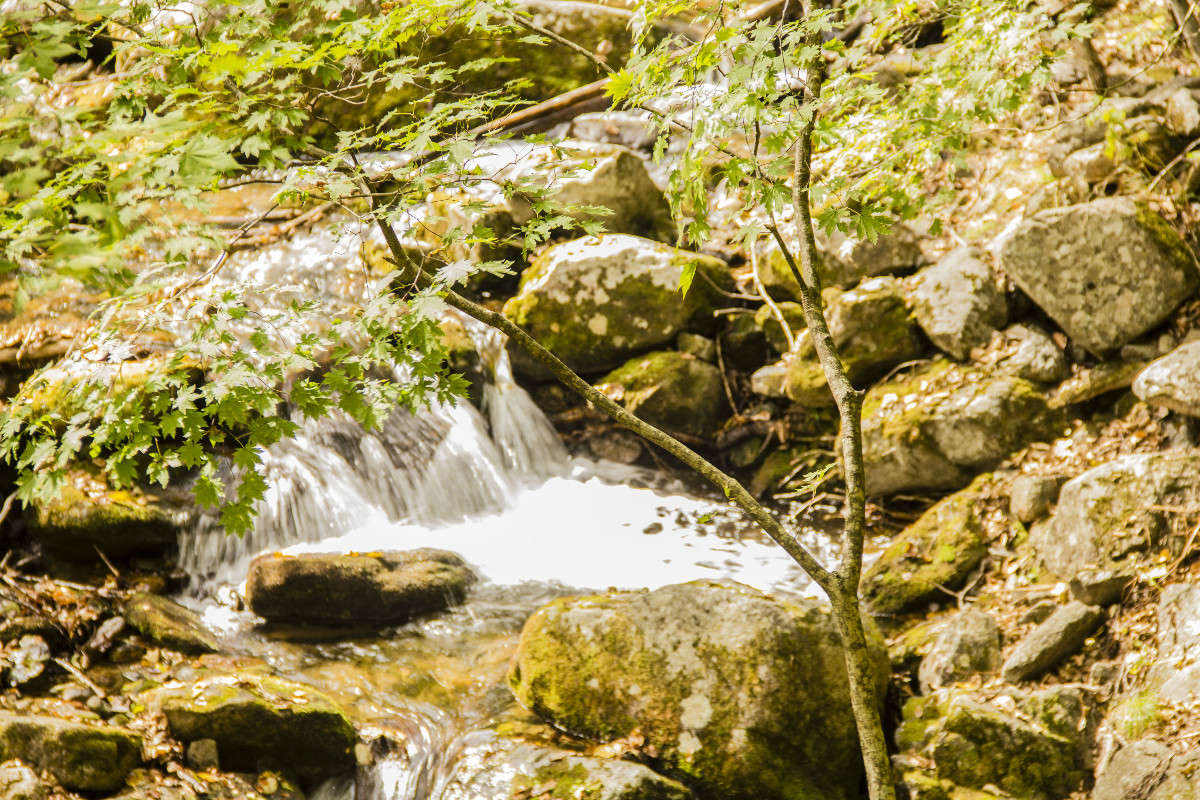 ... ����� ���� �������� �� PhotoGeek.ru #������ ��� ������� #���������