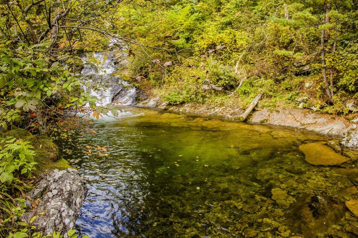 ���� ����� ���� �������� �� PhotoGeek.ru #������ ��� ������� #���������