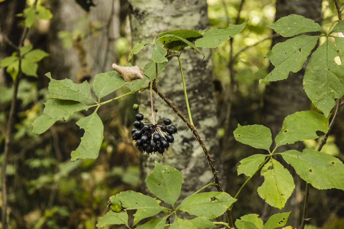 ... ����� ���� �������� �� PhotoGeek.ru #������ ��� ������� #����� ��������������