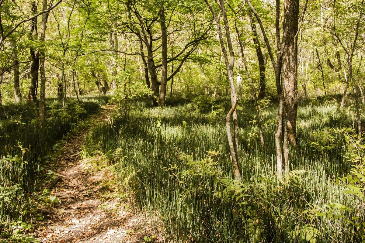 ����� � ��������. ����� ���� �������� �� PhotoGeek.ru #������ ��� ������� #���������