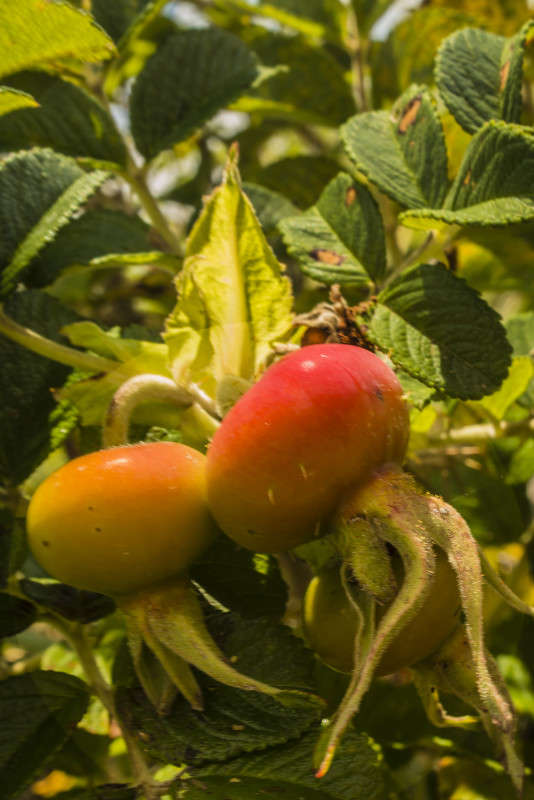 ��������������� ������� � ����� ���� �������� �� PhotoGeek.ru #������ ��� ������� #����� ��������������