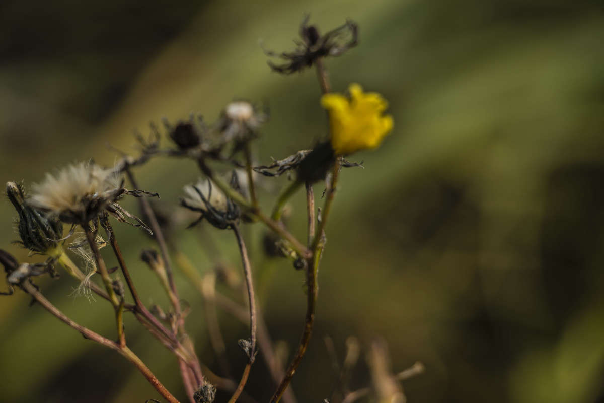 ������ �������� ����� ���� �������� �� PhotoGeek.ru #������ ��� ������� #����� �������������� #���������