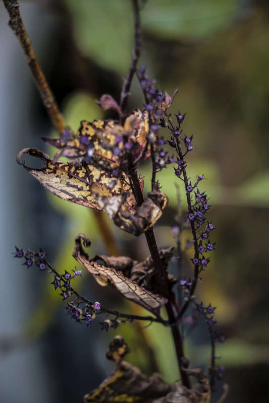 ������� �������� ����� ���� �������� �� PhotoGeek.ru #������ ��� ������� #����� �������������� #���������