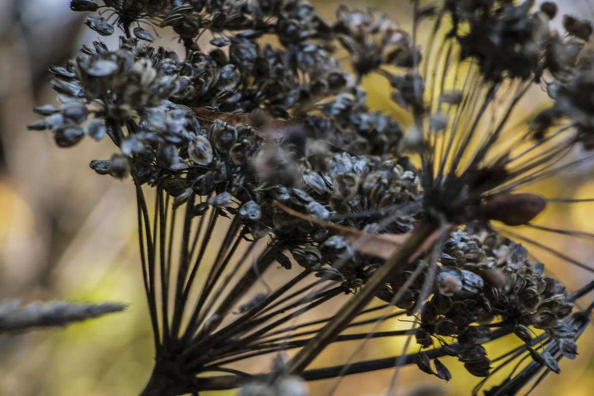 ������� �������� ����� ���� �������� �� PhotoGeek.ru #������ ��� ������� #����� �������������� #���������