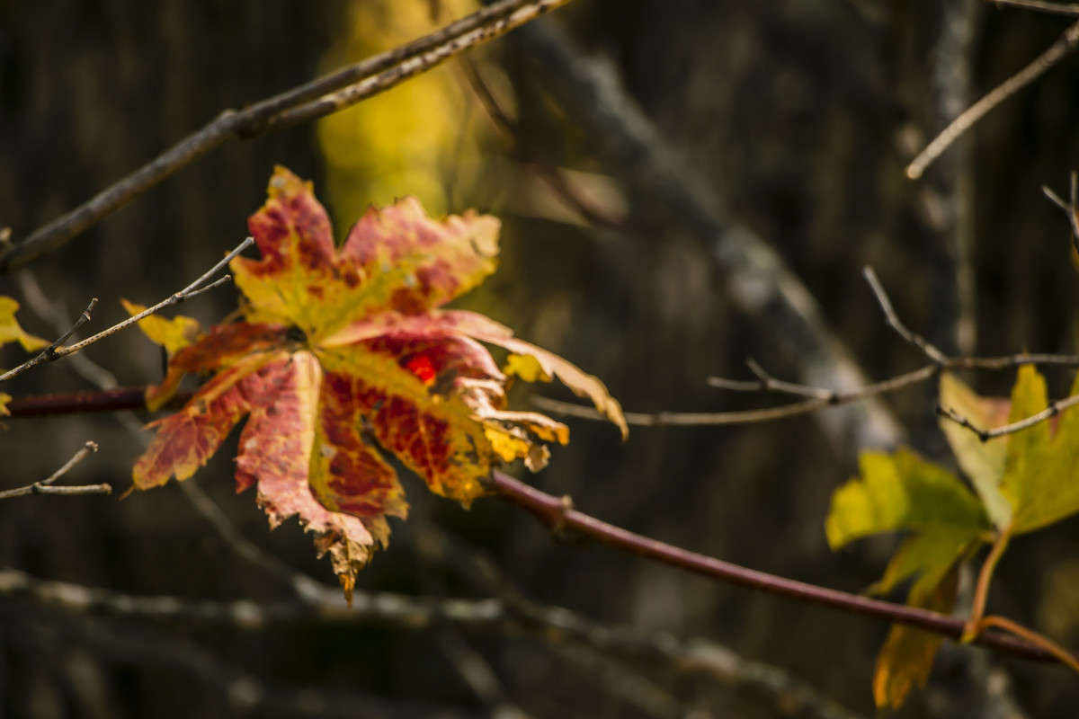 ������� �������� ����� ���� �������� �� PhotoGeek.ru #������ ��� ������� #����� �������������� #���������