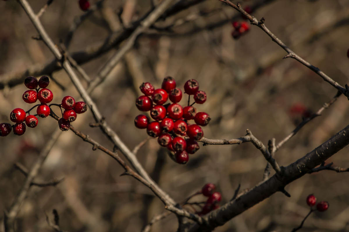 ������� �������� ����� ���� �������� �� PhotoGeek.ru #������ ��� ������� #����� �������������� #���������