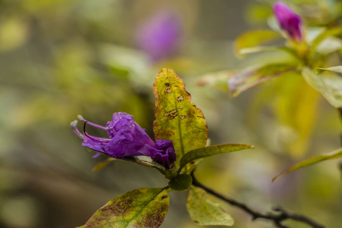 ������� �������� ����� ���� �������� �� PhotoGeek.ru #������ ��� ������� #����� �������������� #���������