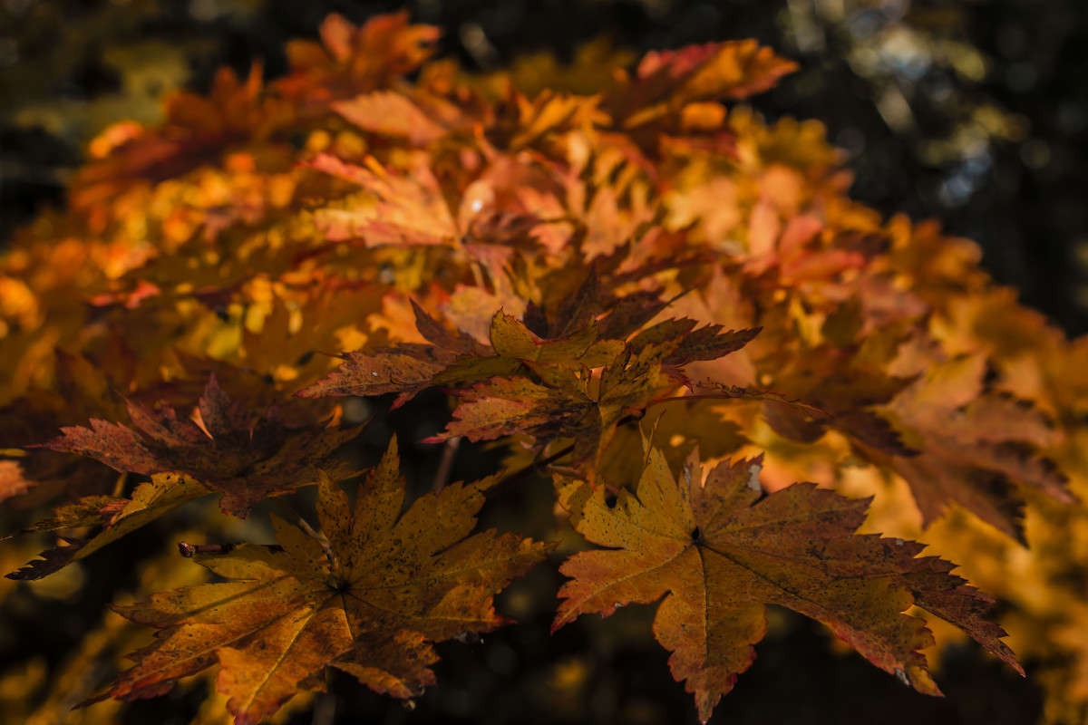 ������� �������� ����� ���� �������� �� PhotoGeek.ru #������ ��� ������� #����� �������������� #���������