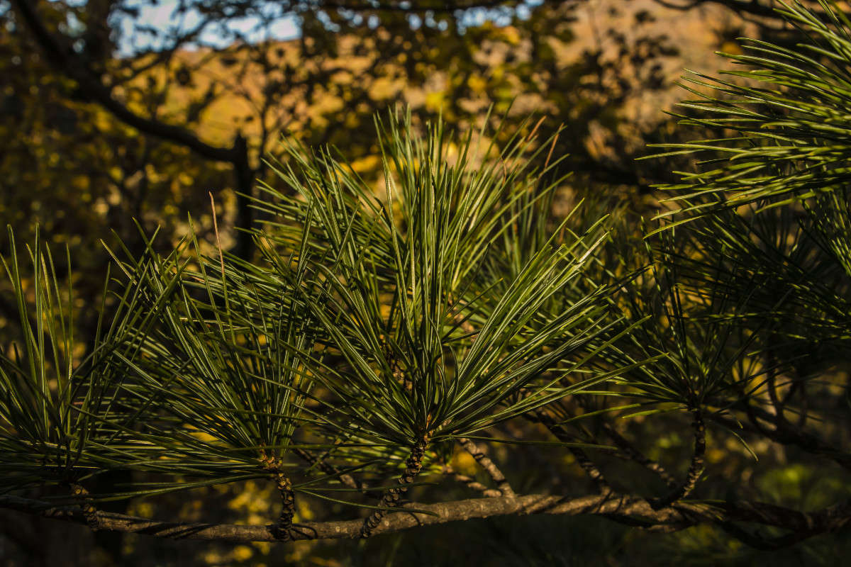 ������� �������� ����� ���� �������� �� PhotoGeek.ru #������ ��� ������� #����� �������������� #���������