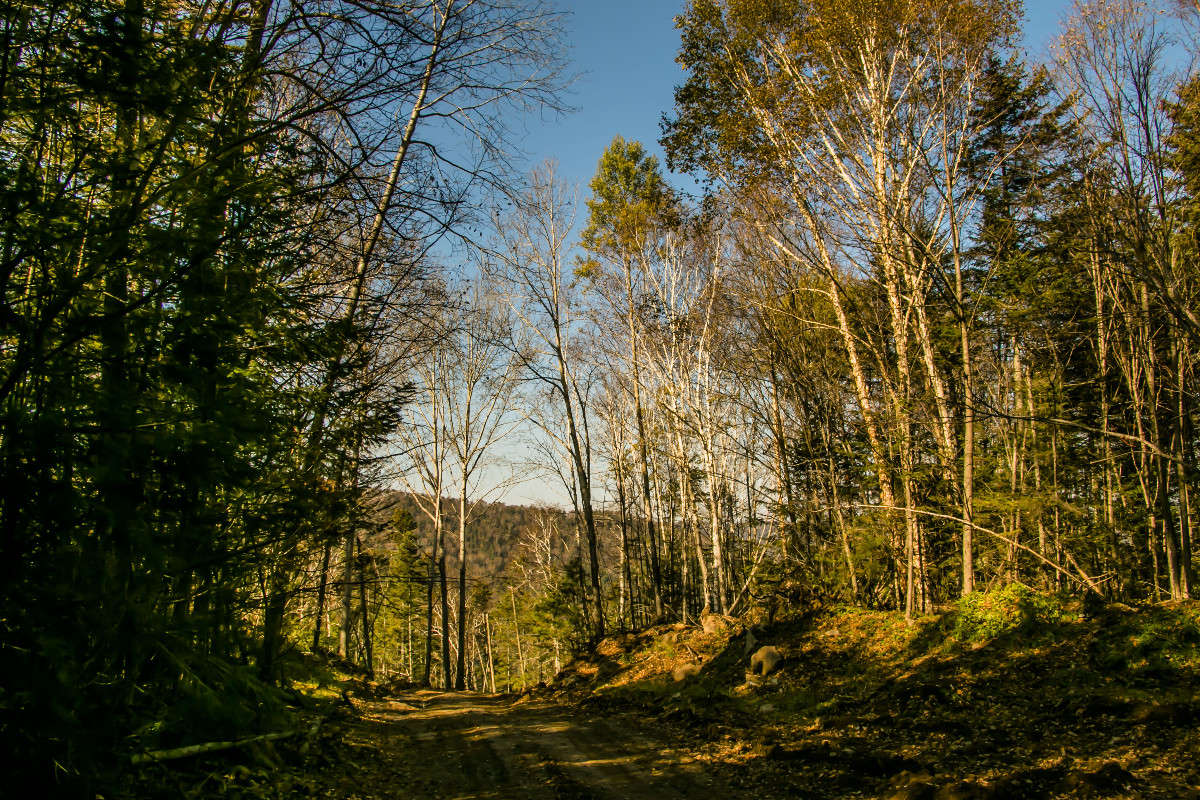 ������� ���� ����� ���� �������� �� PhotoGeek.ru #������ ��� ������� #���������