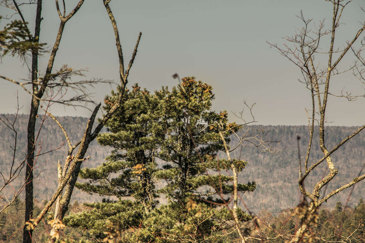 ������ � ����� ����� ���� �������� �� PhotoGeek.ru #������ ��� ������� #���������