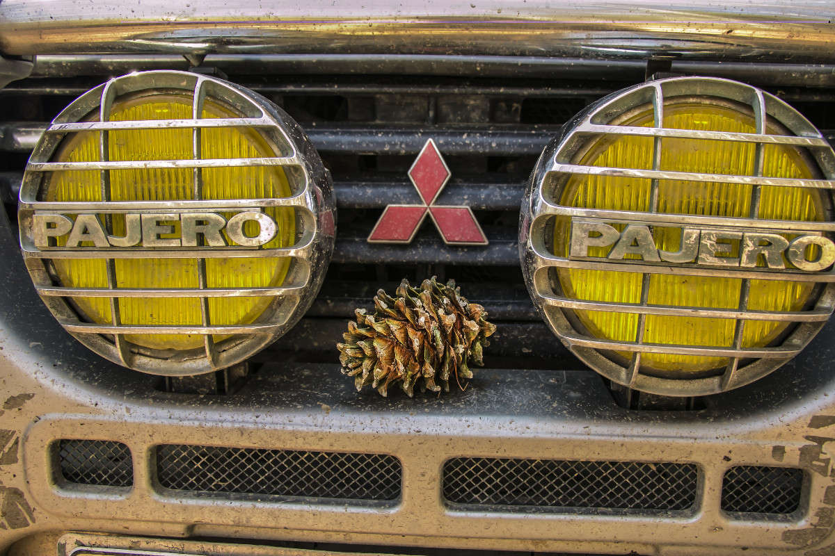 ��� ���������� ���� ����� ���� �������� �� PhotoGeek.ru #������ ��� ������� #���������