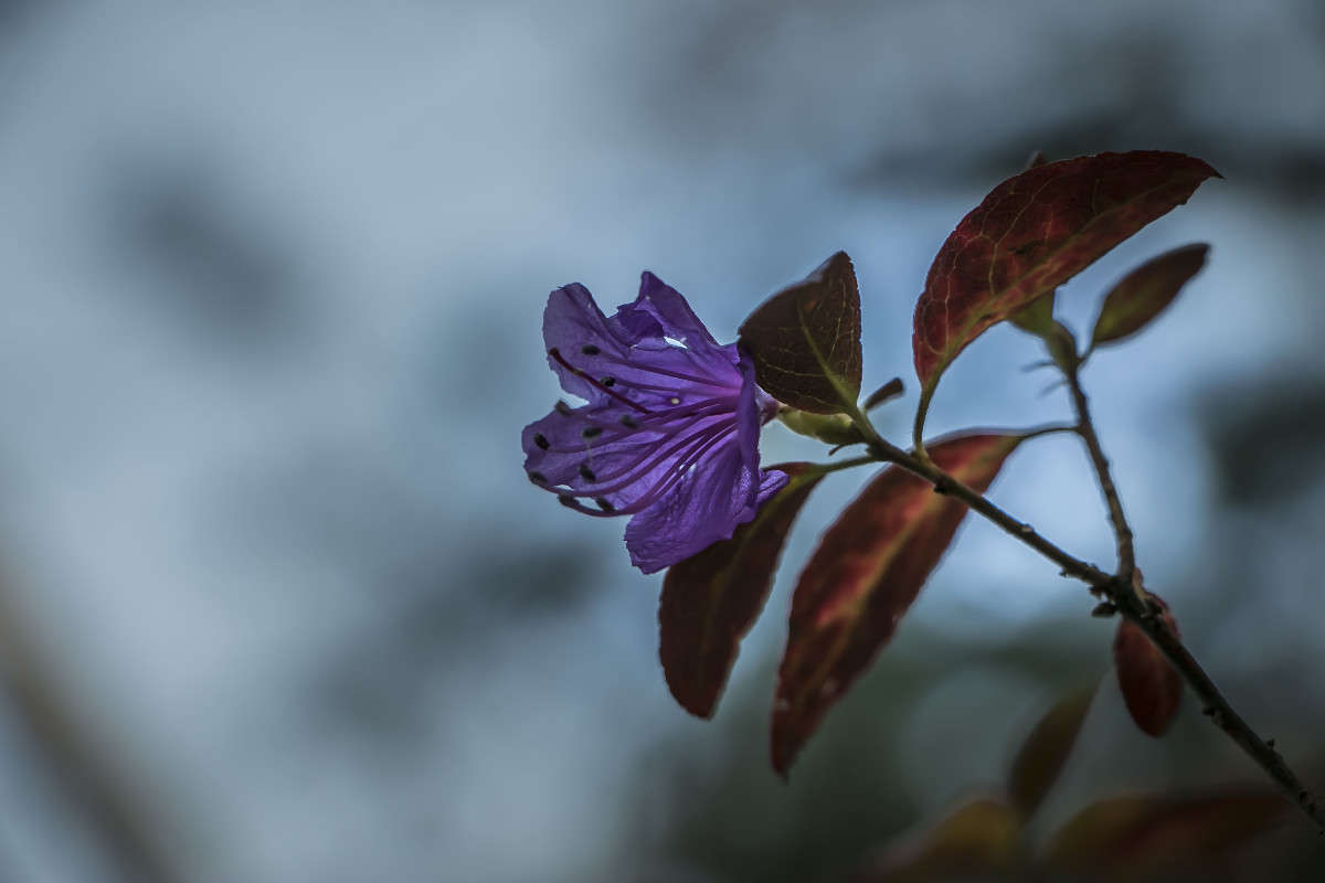 ������ ���������� �����������. ����� ���� �������� �� PhotoGeek.ru #������ ��� ������� #����� ��������������