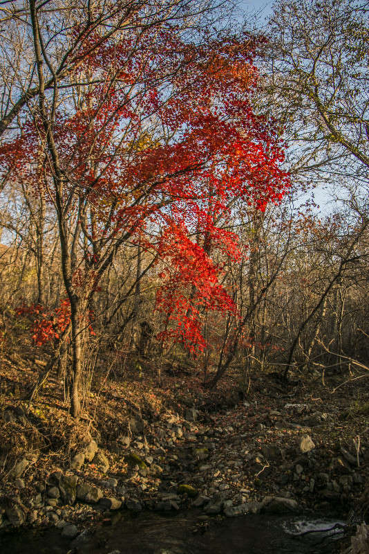 �������� � ������ ����� ���� �������� �� PhotoGeek.ru #������ ��� ������� #���������