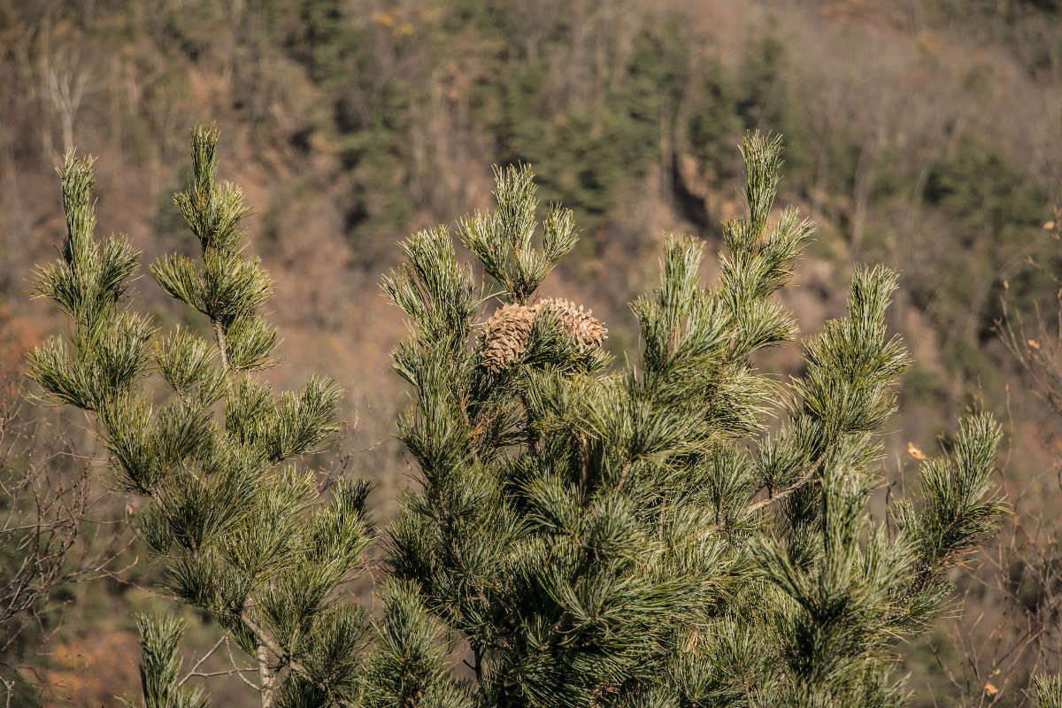 ��� �� ����� �� ������!!! ����� ���� �������� �� PhotoGeek.ru #������ ��� ������� #����� �������������� #���������