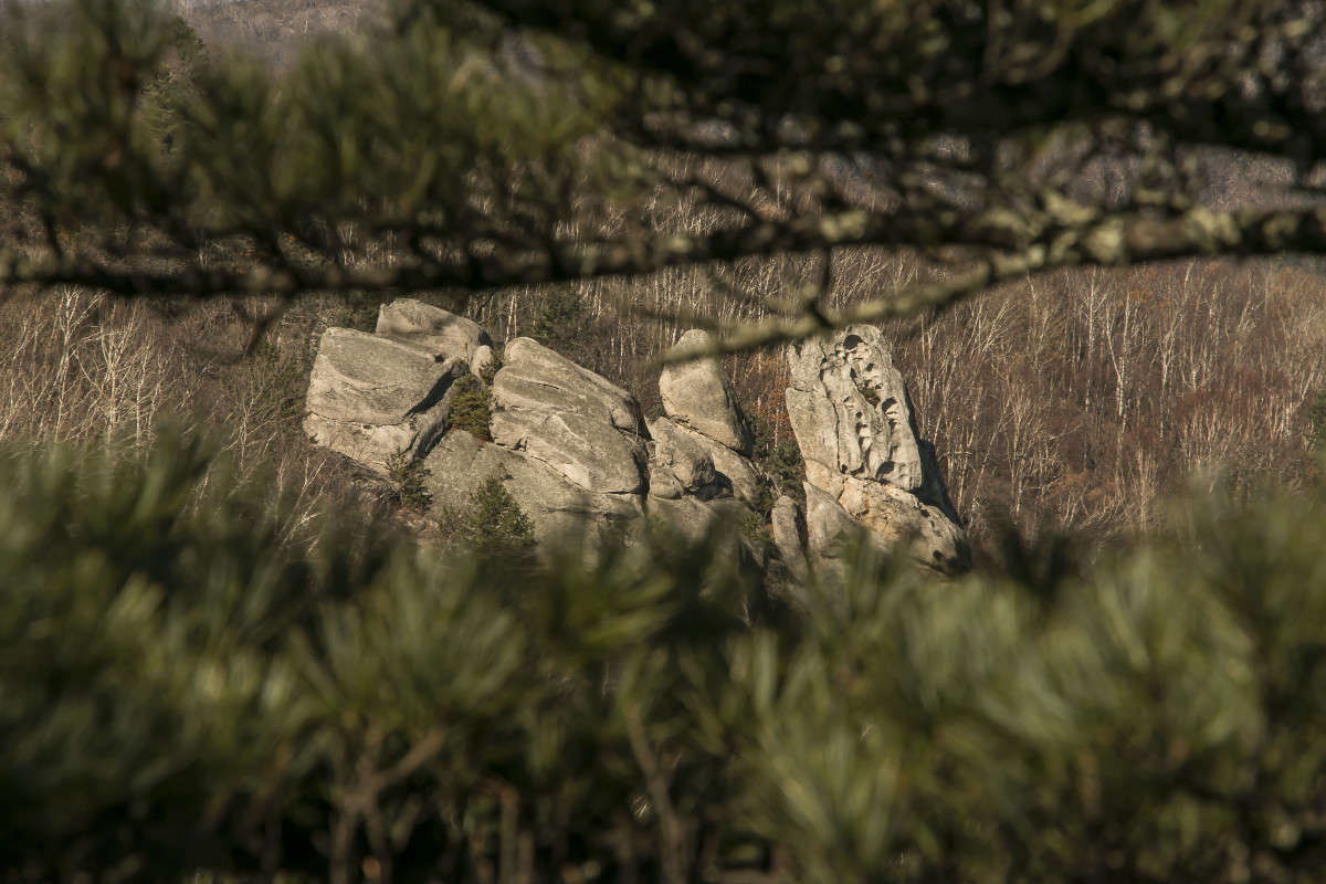 � ����� ������... ����� ���� �������� �� PhotoGeek.ru #������ ��� ������� #���������