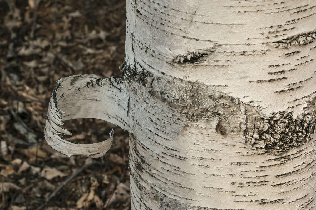 ��� ��� �� ����� ��������! ����� ���� �������� �� PhotoGeek.ru #������ ��� ������� #���������