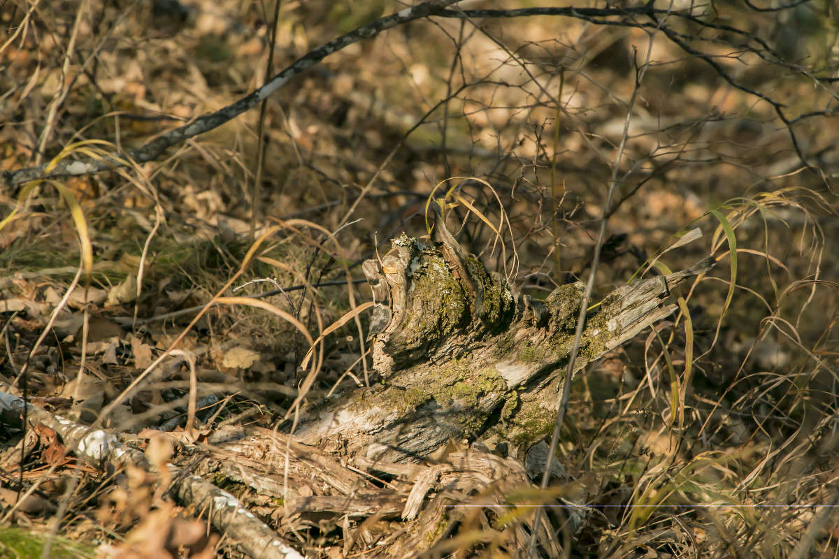 ������ � ��������� ����� ���� �������� �� PhotoGeek.ru #������ ��� ������� #���������