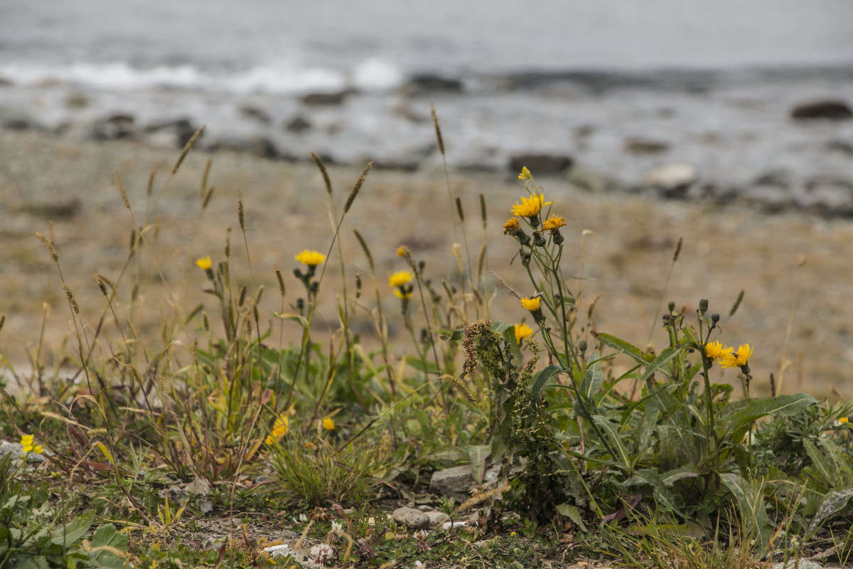 ����� �������... ����� ���� �������� �� PhotoGeek.ru #����� #��������� ������