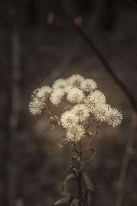 ��������...������ ��� ����� ���� �������� �� PhotoGeek.ru #������ ��� ������� #���������