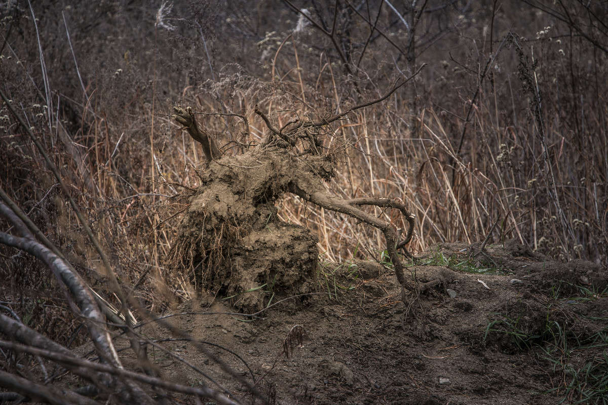 ������ ������... ����� ���� �������� �� PhotoGeek.ru #������ ��� ������� #���������