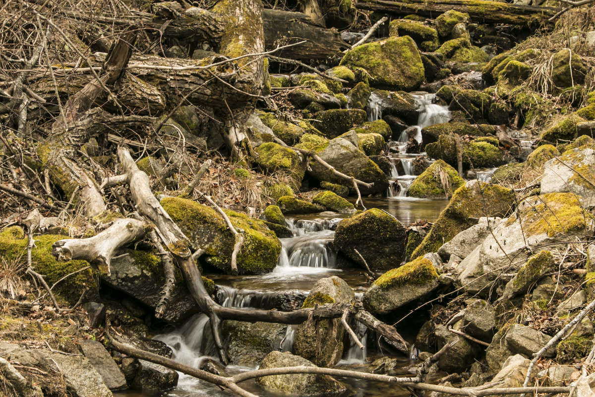 �����, �������� 4 ����� ���� �������� �� PhotoGeek.ru #������ ��� ������� #���������